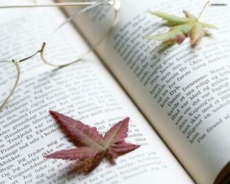 Book S Wallpaper Books