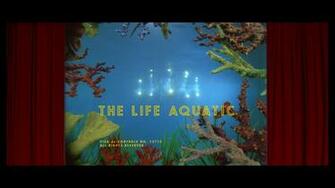 Life Aquatic Desktop Wallpaper In Words Or Less