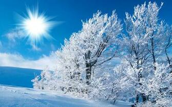 Winter Background Wallpaper On