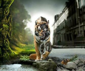Animated HD Tiger Tablet Pc Wallpaper Background