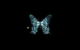 Url Imageci Butterfly Wallpaper HD Html