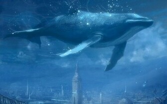 The Blue Whale Wildlife
