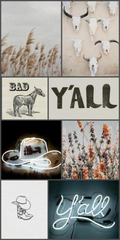 Best Western Aesthetic Ideas Wall