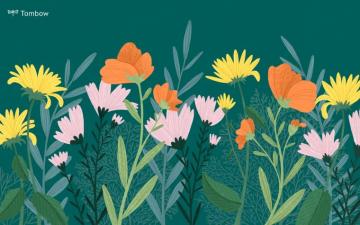 Tombow Wallpaper S Background Desktop