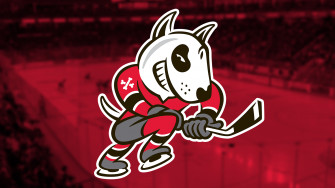 Niagara Icedogs Saint Catharines