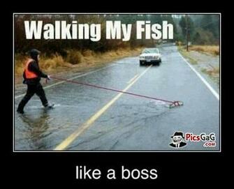 Walking Fish Like A Boss Meme Funny Monkey Sleeping