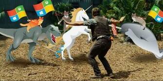 Windows Wallpaper Ninjacat Ware De