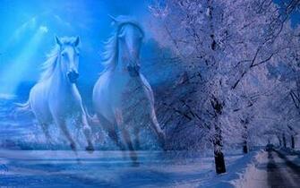 Winter Beauty Teddybear64 Wallpaper