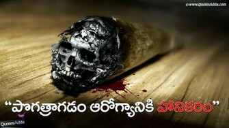 No Smoking Telugu Wallpaper Quotes Adda Tamil