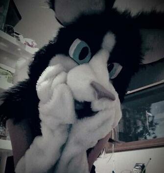 Going To Anthrocon2018 Furry Amino