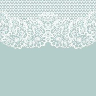 Elegant White Lace Vector Background