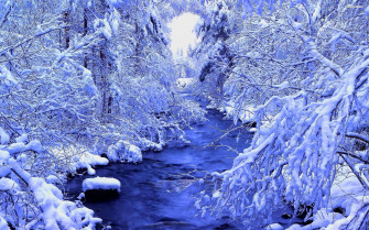 Beautiful Winter Wallpaper