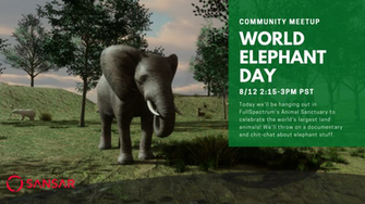 Steam Sansar Community Meetup World Elephant Day