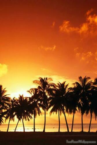HD iPhone Wallpaper Top Design Magazine Web And