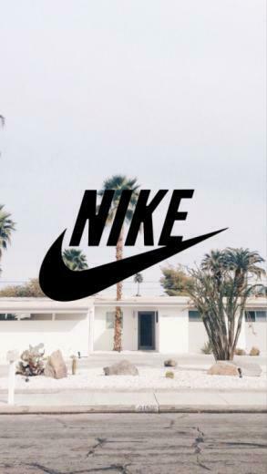 Palm Trees Background
