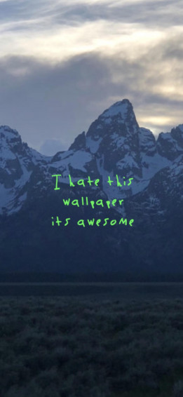 I Made This Phone Wallpaper Sized For iPhone X R Kanye
