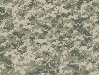 Digicamo Background On