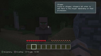 Villager Jerma Lore
