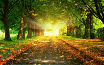 High Definition Wallpaper 1080p For Desktop