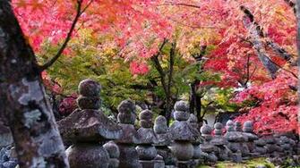 Bakas Em Tokyo Tour Pelo Jap O Kyoto
