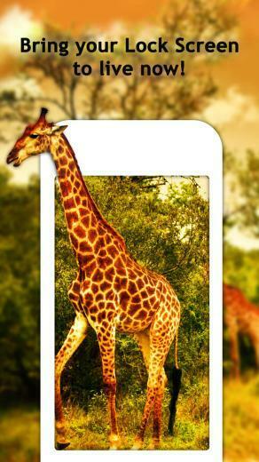 Wallpaper For iPhone 6s Plus Animated Custom Dynamic