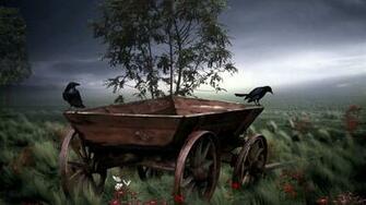 Spring Storm Pictures Photos And Image For