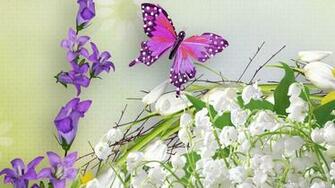 Lily Of The Valley Wallpaper
