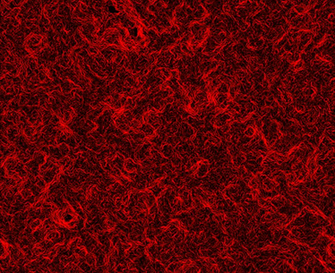 Deep Red Background By Ramzonz