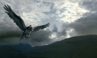 Harry Potter And The Prisoner Of Azkaban Buckbeak