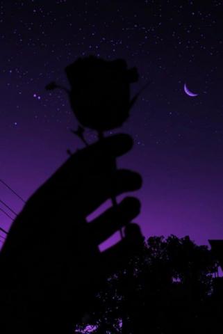 Dark Purple Aesthetic Wallpaper Top