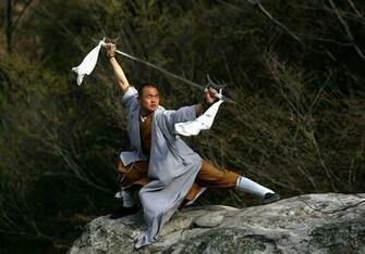 Shaolin Temple Martial Art Acts Videos And Wallpaper