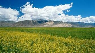 Nature HD Wallpaper High Quality