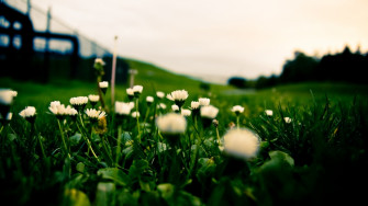 Cool Fresh Wallpaper For