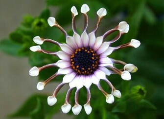 Pictures Nice Best Scienaries Different Super