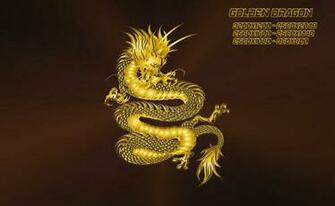 Gold Chinese Dragon Wallpaper Exuding