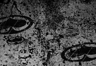Metal Mulisha Wallpaper