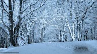 Winter Wallpaper Schnee Landschaft Gdefon Original