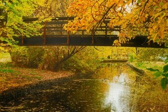 Autumn Scene Wallpaper