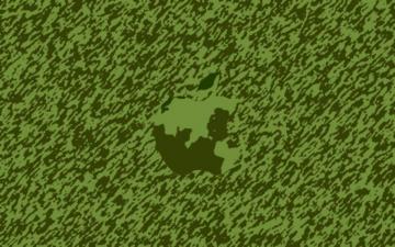 Apple Camo By Toksic Krusayder