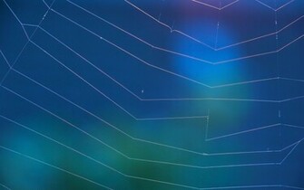The World Wide Web Wallpaper And Image Pictures