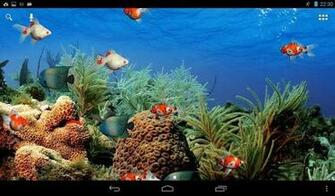 Aquarium Live Wallpaper Jest Yw Tapet Prezentuj C Akwarium Z
