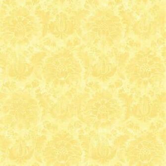 Yellow Back Movies With Resolutions Pixel