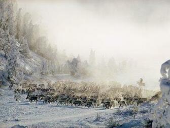 Greatest Photographs Wallpaper Gallery National Geographic