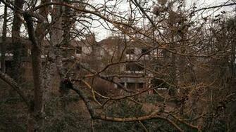 Nature Ruins Forest HD