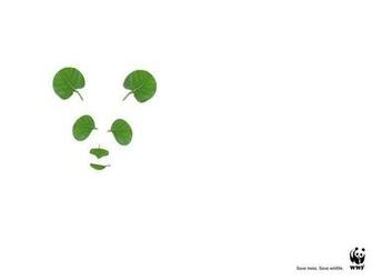 World Wildlife Fund Wallpaper
