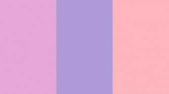 Light Orchid Pastel Purple And Pink Three