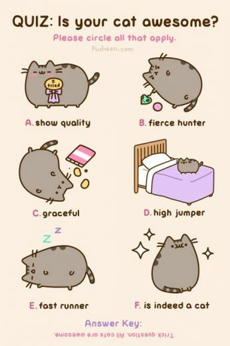 Pusheen Cat What Is Your Like Comment