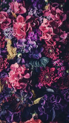 Floral iPhone Wallpaper To Celebrate 65k Followers