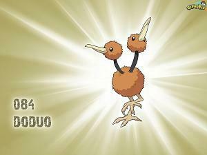Doduo Wallpaper