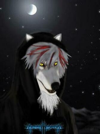 Furry Wolf I Love You Wallpaper Pictures